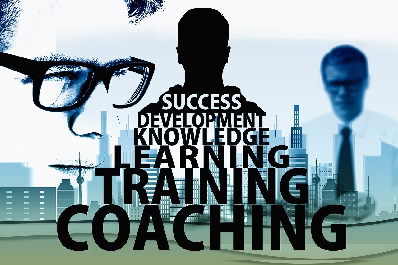 consulting, training, to learn vision building, business planning -2045573.jpg